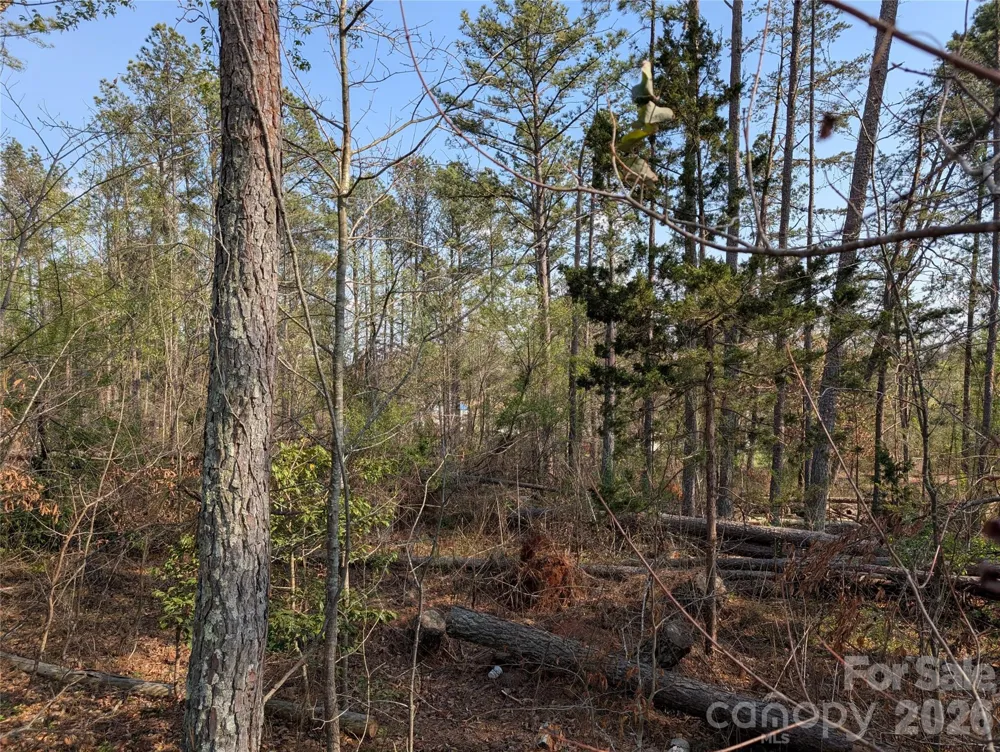 TBD Whitesides Road Forest City, NC 28043