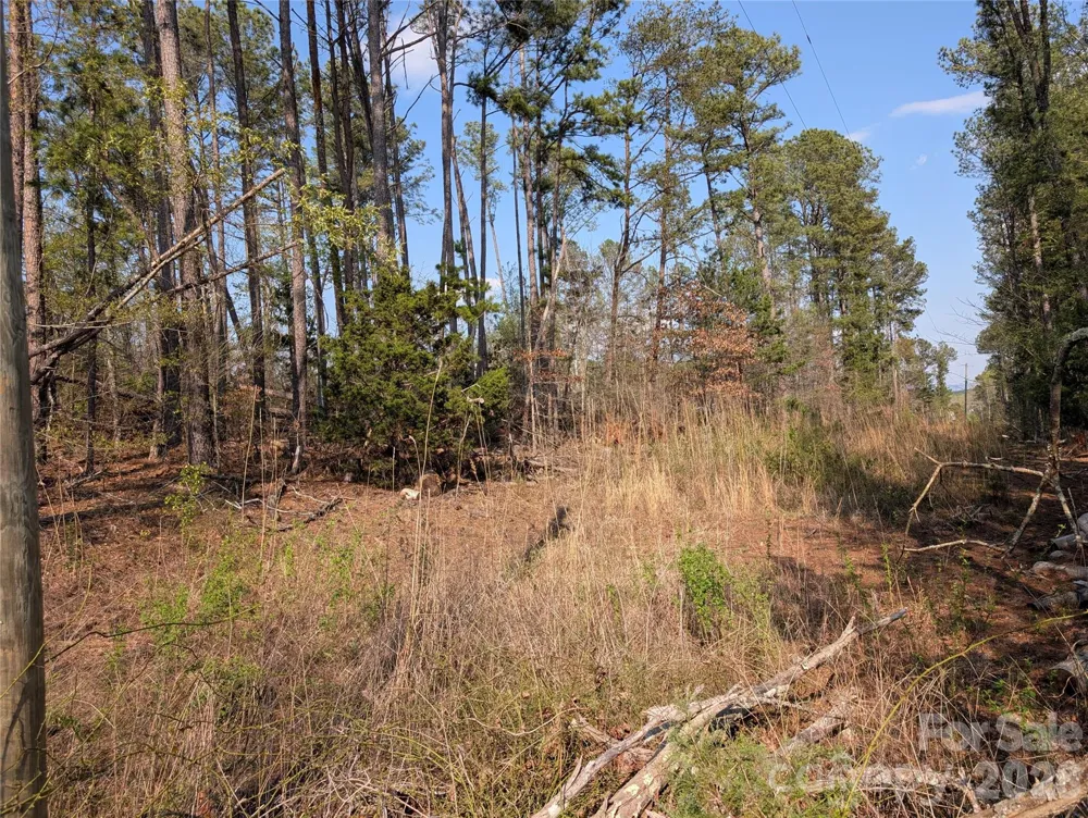 TBD Whitesides Road Forest City, NC 28043