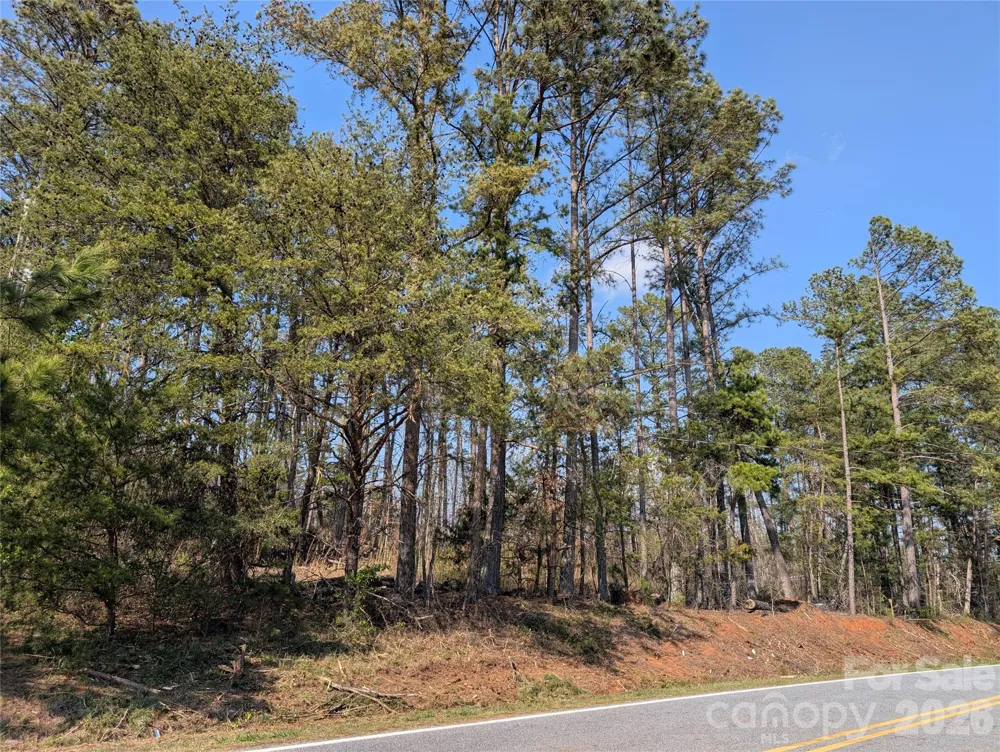 TBD Whitesides Road Forest City, NC 28043
