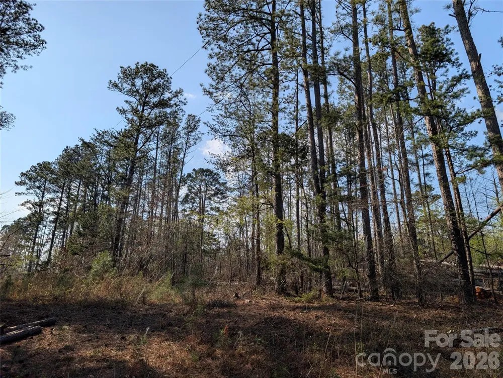 TBD Whitesides Road Forest City, NC 28043