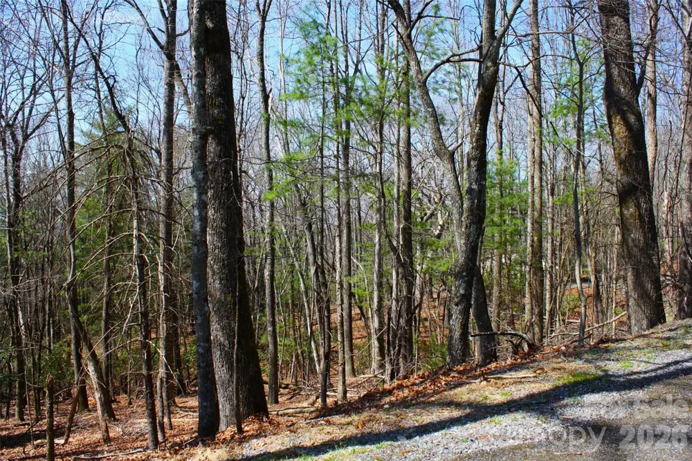 0000 Slick Rock Road Brevard, NC 28712