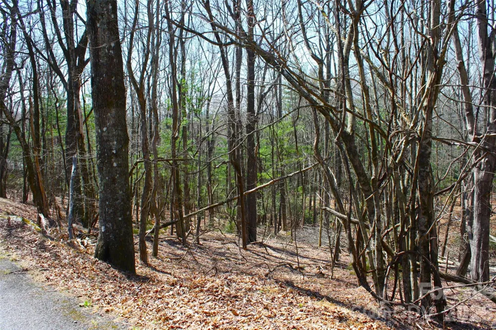 0000 Slick Rock Road Brevard, NC 28712