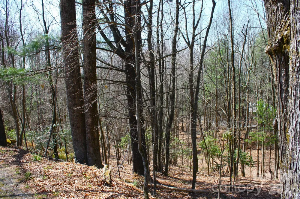 0000 Slick Rock Road Brevard, NC 28712