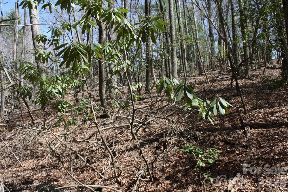 0000 Slick Rock Road Brevard, NC 28712