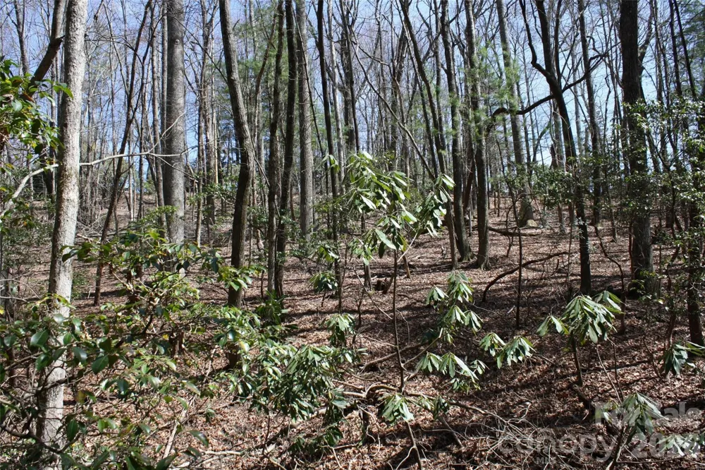 0000 Slick Rock Road Brevard, NC 28712
