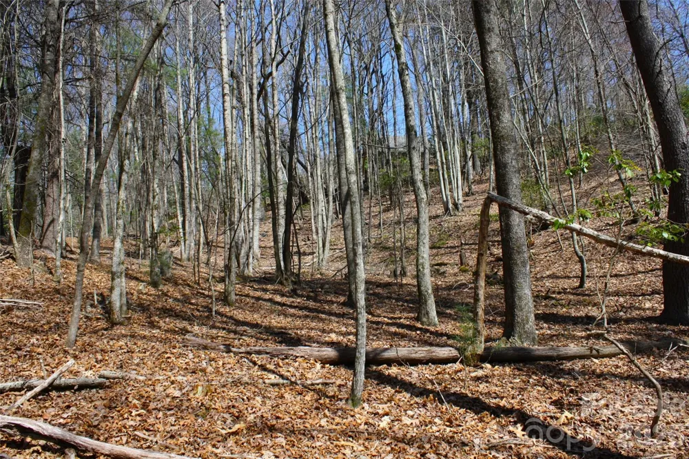 0000 Slick Rock Road Brevard, NC 28712