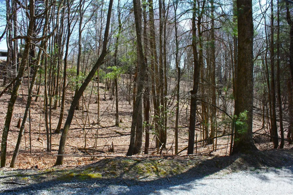 0000 Slick Rock Road Brevard, NC 28712