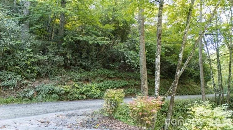 TBD Clear Creek Drive #17 Spruce Pine, NC 28657