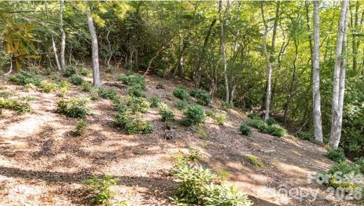TBD Clear Creek Drive #17 Spruce Pine, NC 28657