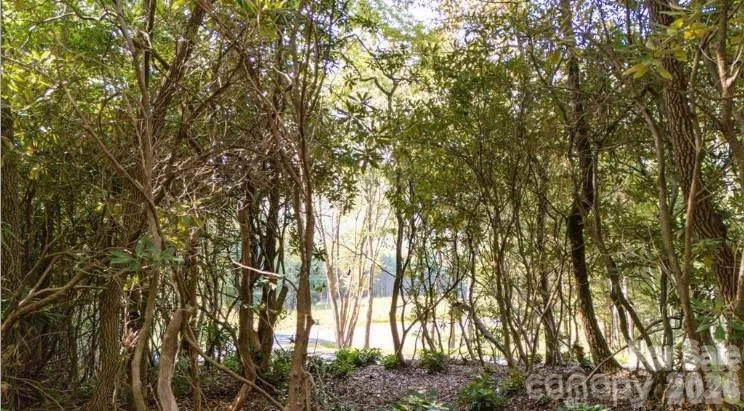 TBD Clear Creek Drive #17 Spruce Pine, NC 28657