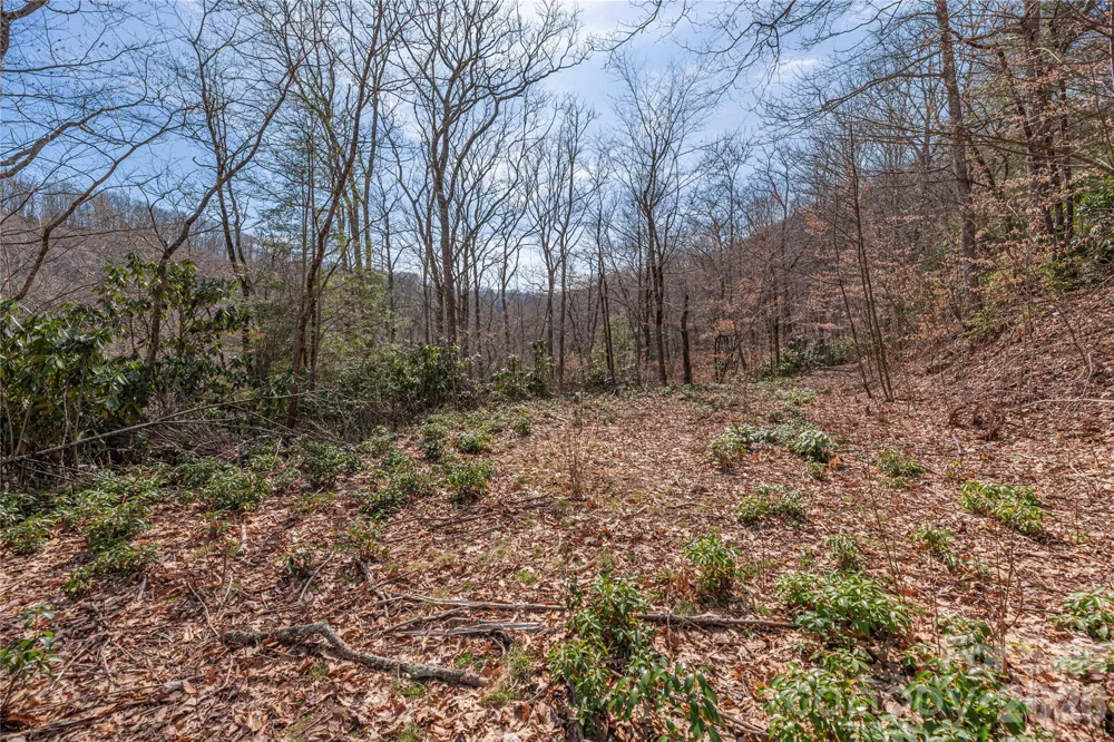 00 Autumn Drive Maggie Valley, NC 28751