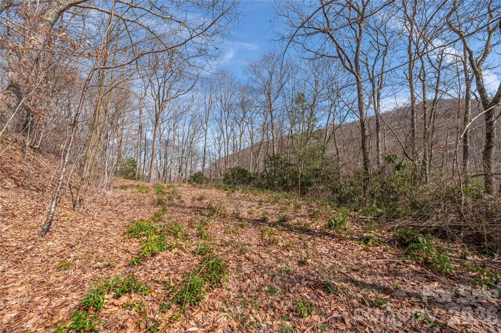 00 Autumn Drive Maggie Valley, NC 28751