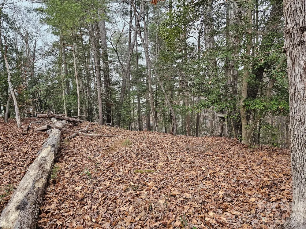 3431 6th Street Drive NW Hickory, NC 28601