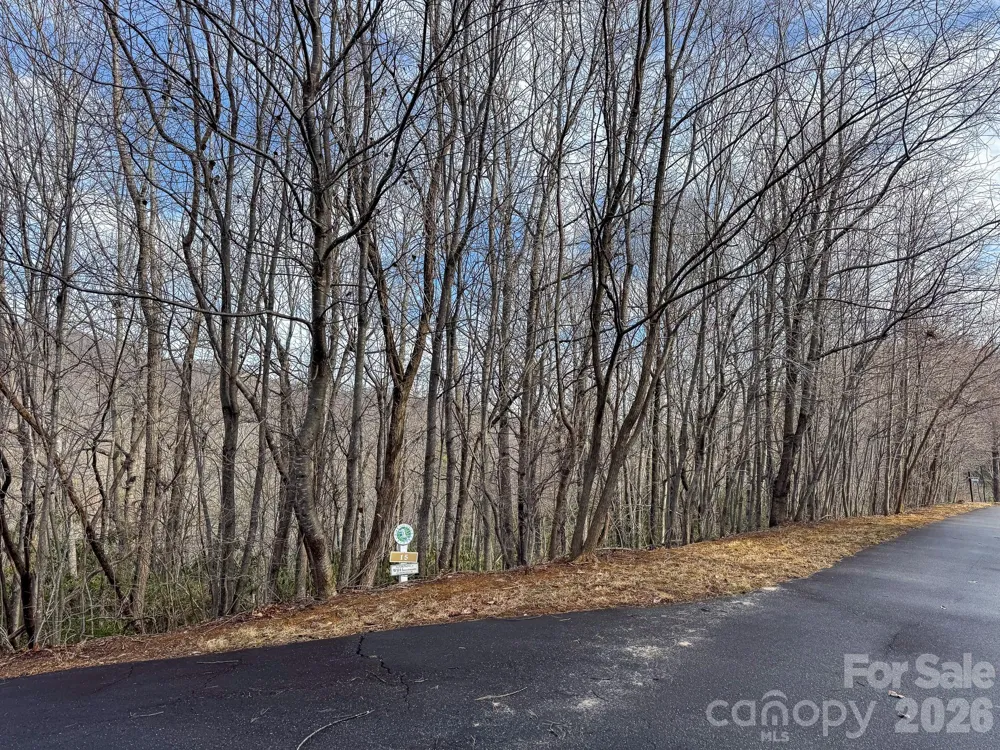 9999 Rainbow Falls Trail Black Mountain, NC 28711