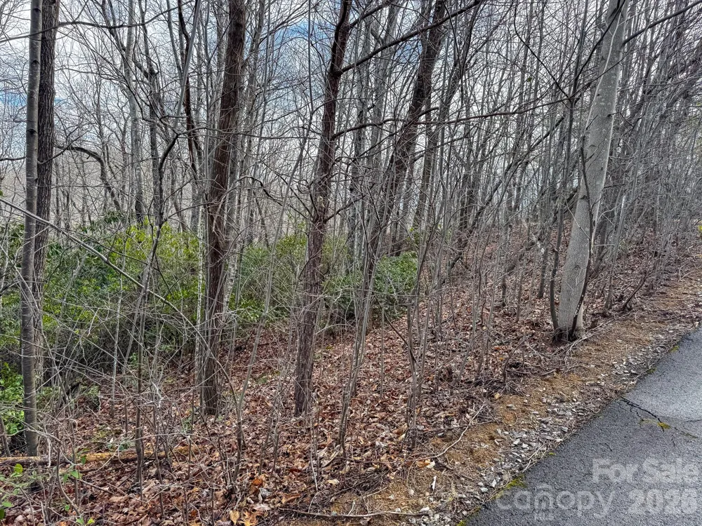 9999 Rainbow Falls Trail Black Mountain, NC 28711