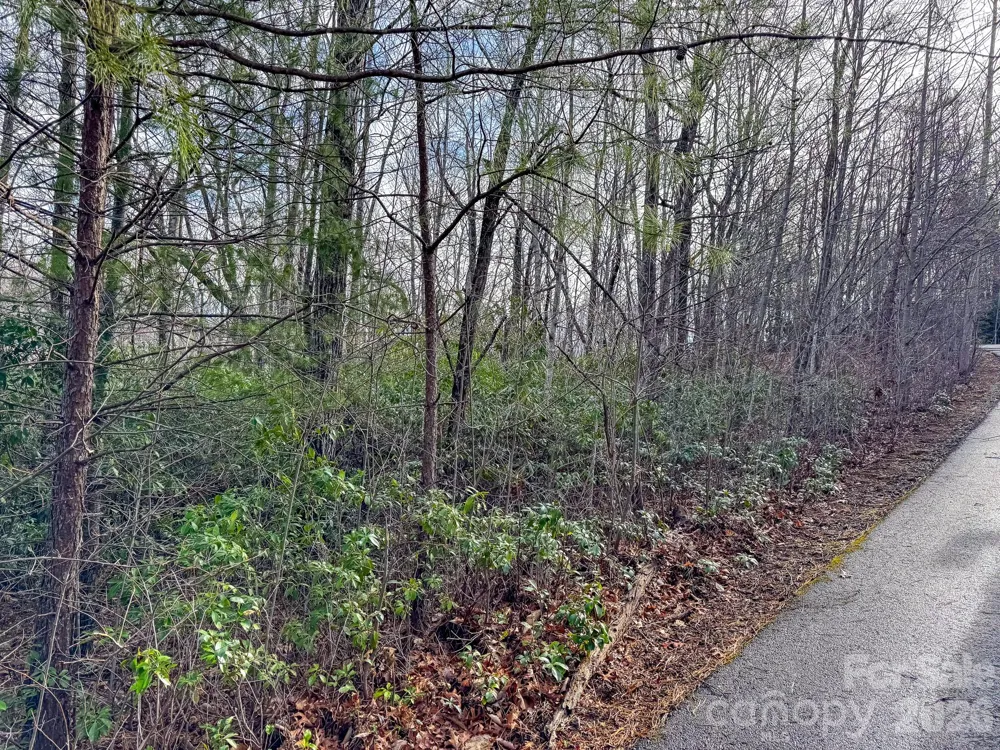 9999 Rainbow Falls Trail Black Mountain, NC 28711