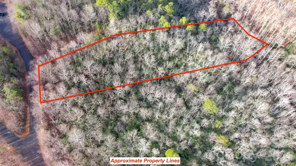 9999 Rainbow Falls Trail Black Mountain, NC 28711