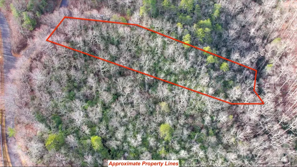 9999 Rainbow Falls Trail Black Mountain, NC 28711