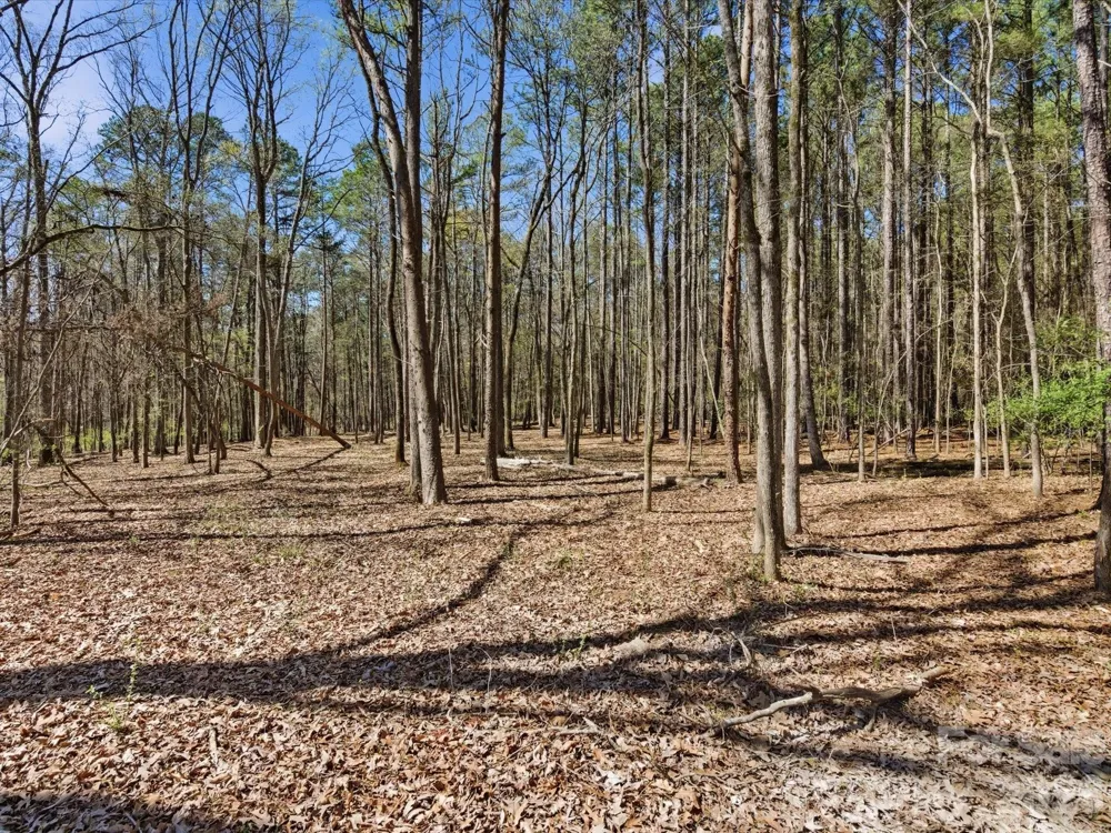 3883 Marlette Drive York, SC 29745