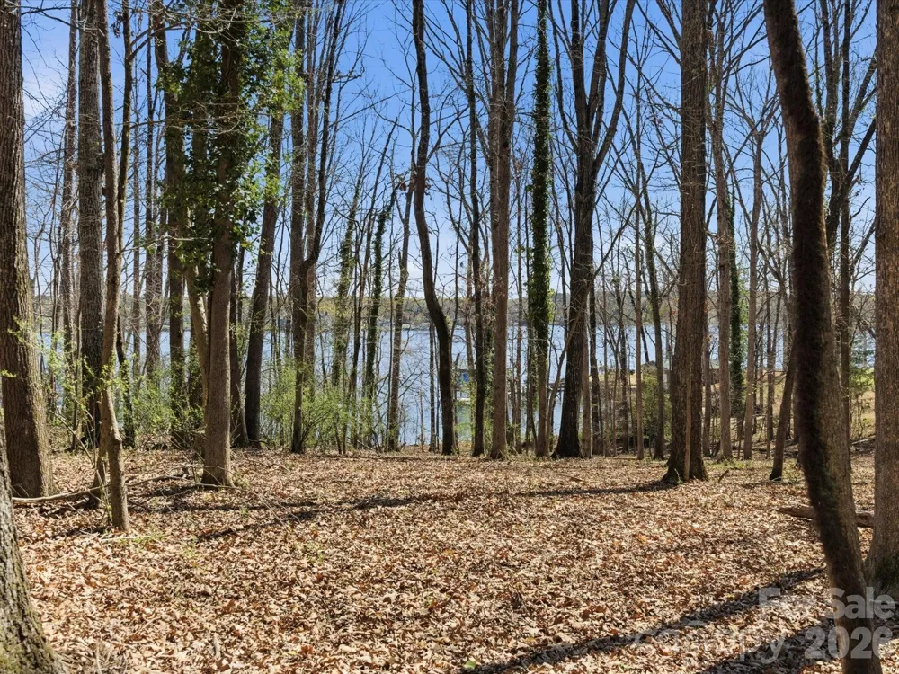 3883 Marlette Drive York, SC 29745
