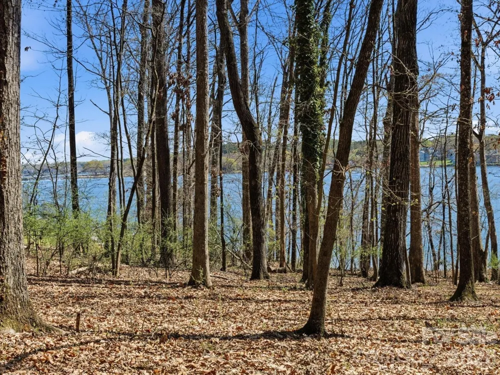 3883 Marlette Drive York, SC 29745