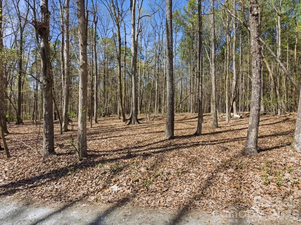 3883 Marlette Drive York, SC 29745