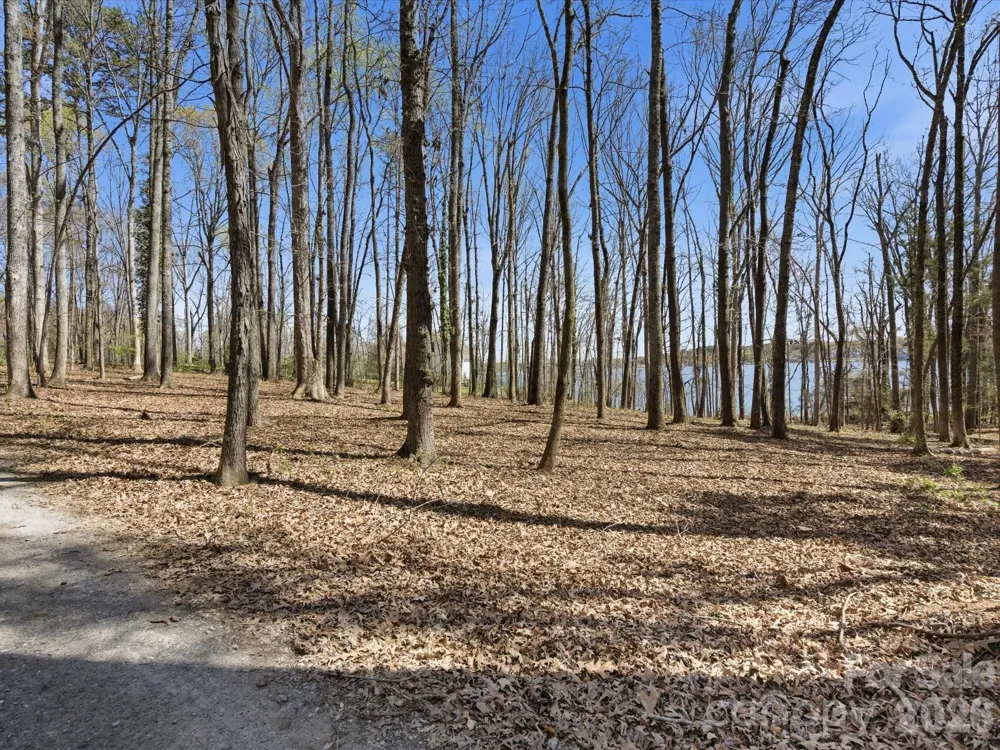 3883 Marlette Drive York, SC 29745