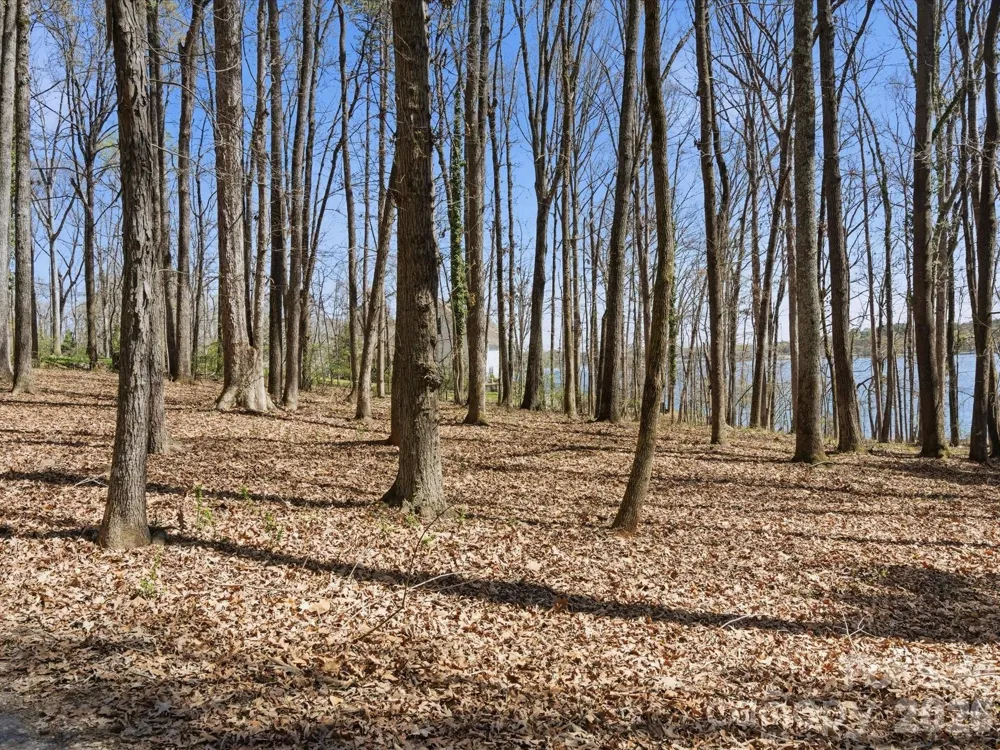 3883 Marlette Drive York, SC 29745