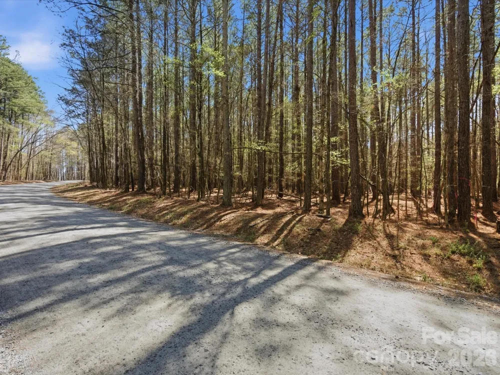 3883 Marlette Drive York, SC 29745