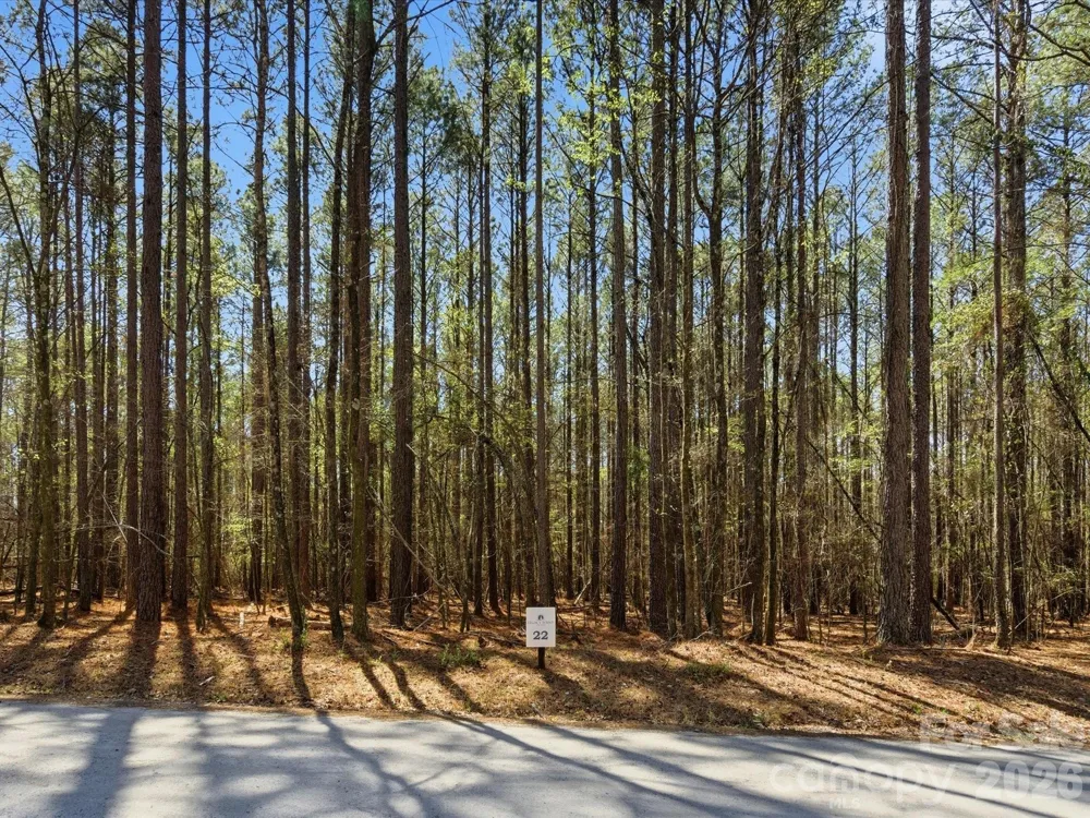 3883 Marlette Drive York, SC 29745