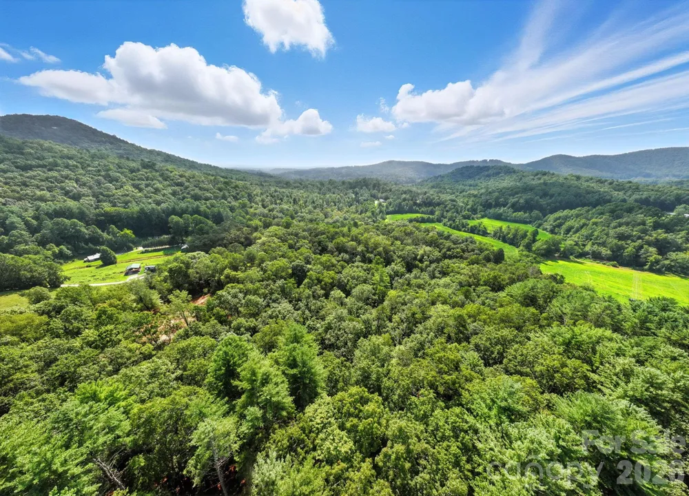 0000 Mullinax Cove Road Mills River, NC 28759