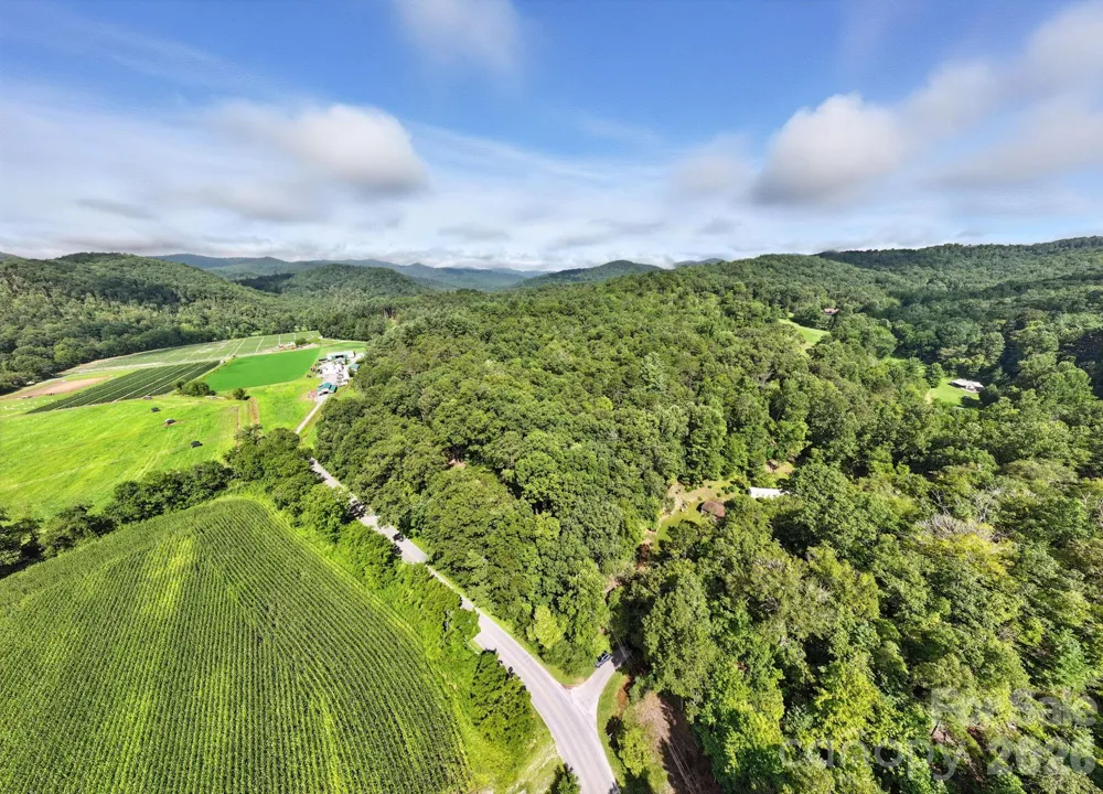 0000 Mullinax Cove Road Mills River, NC 28759