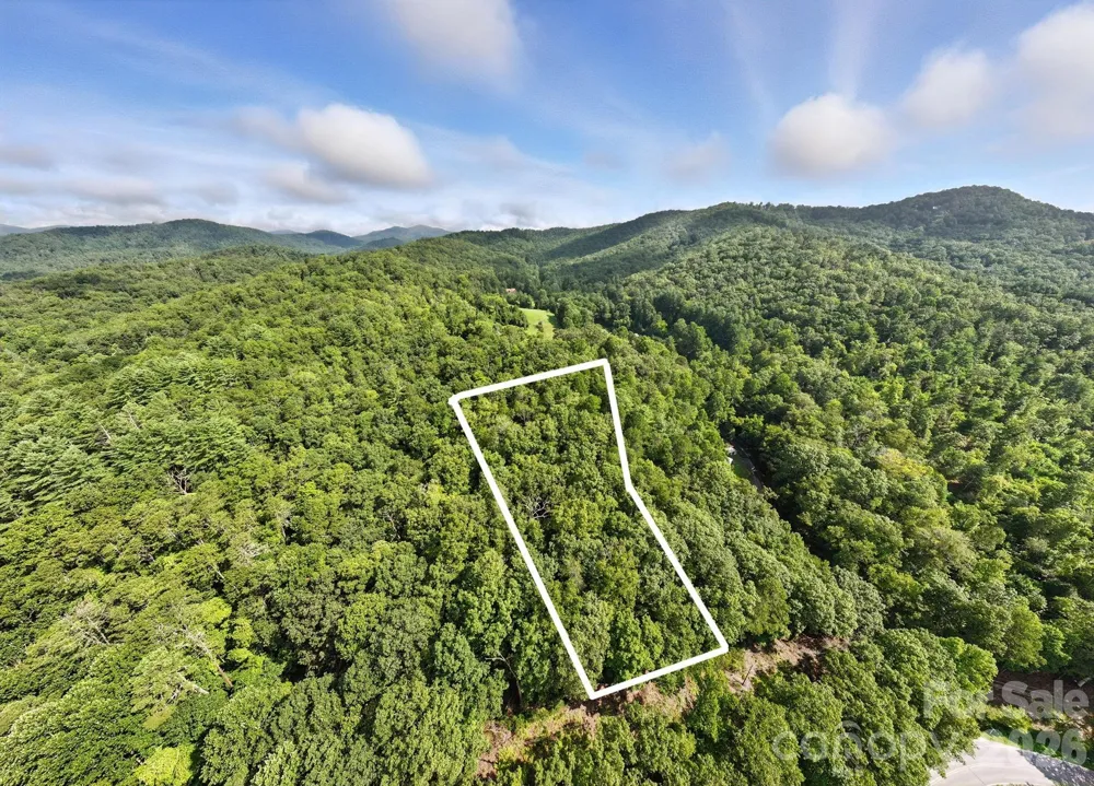 0000 Mullinax Cove Road Mills River, NC 28759