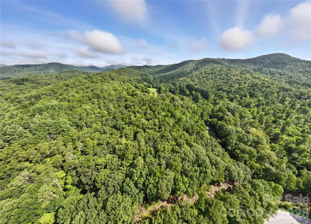 0000 Mullinax Cove Road Mills River, NC 28759