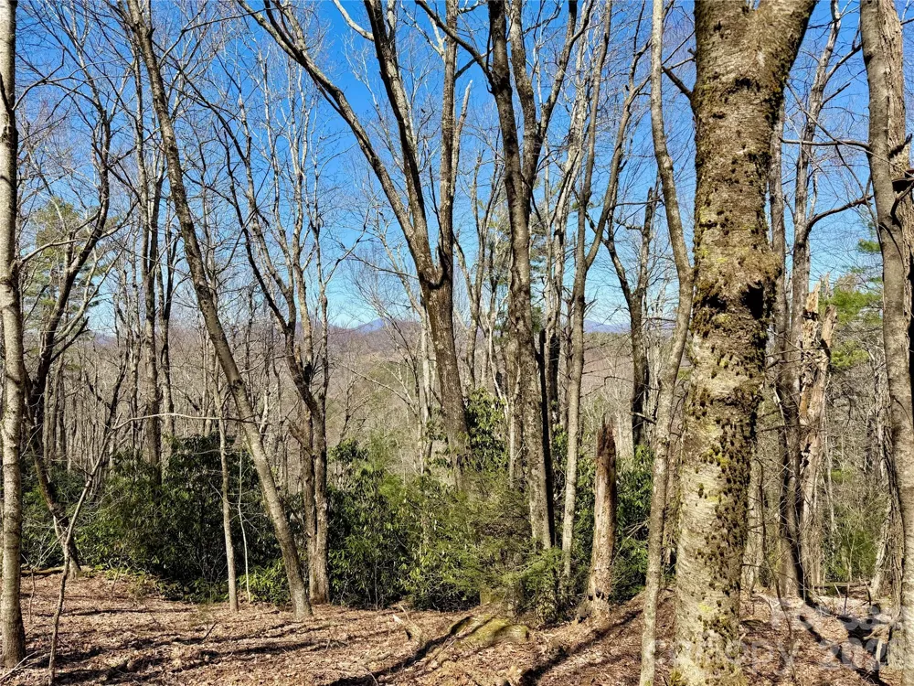 TBD Grandview Drive #Tract A Boone, NC 28607