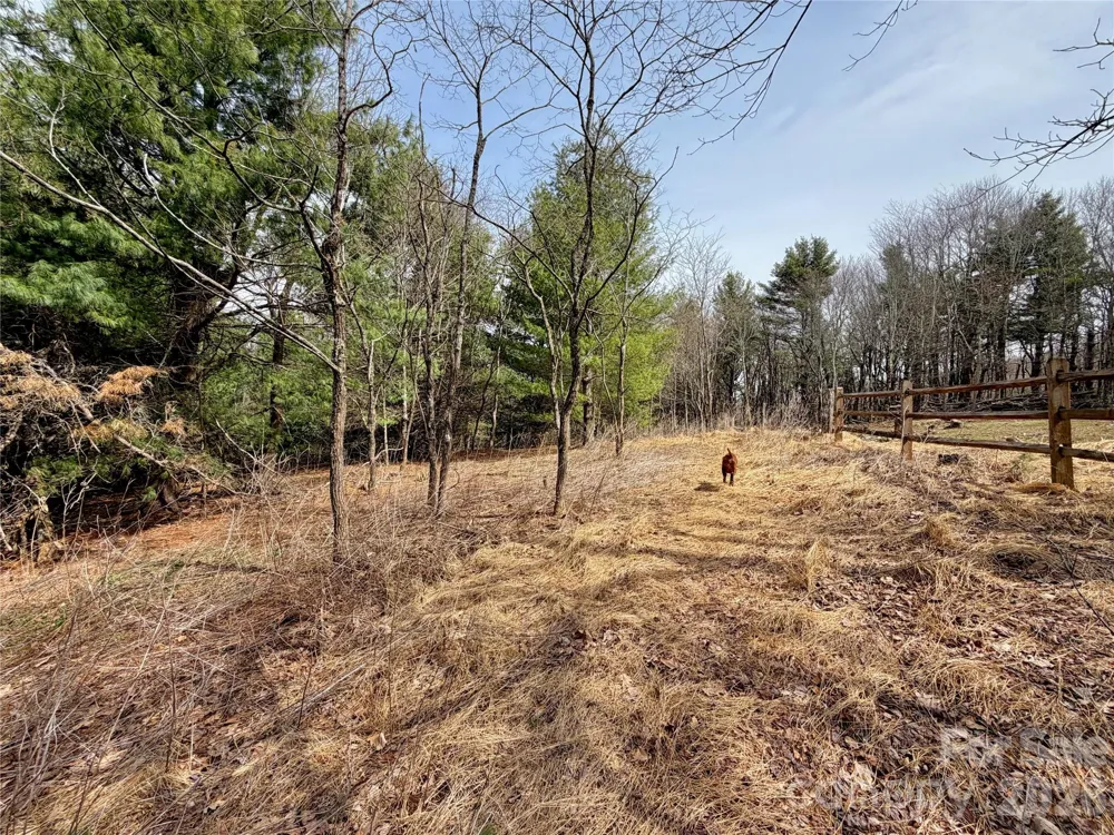 TBD Grandview Drive #Tract A Boone, NC 28607
