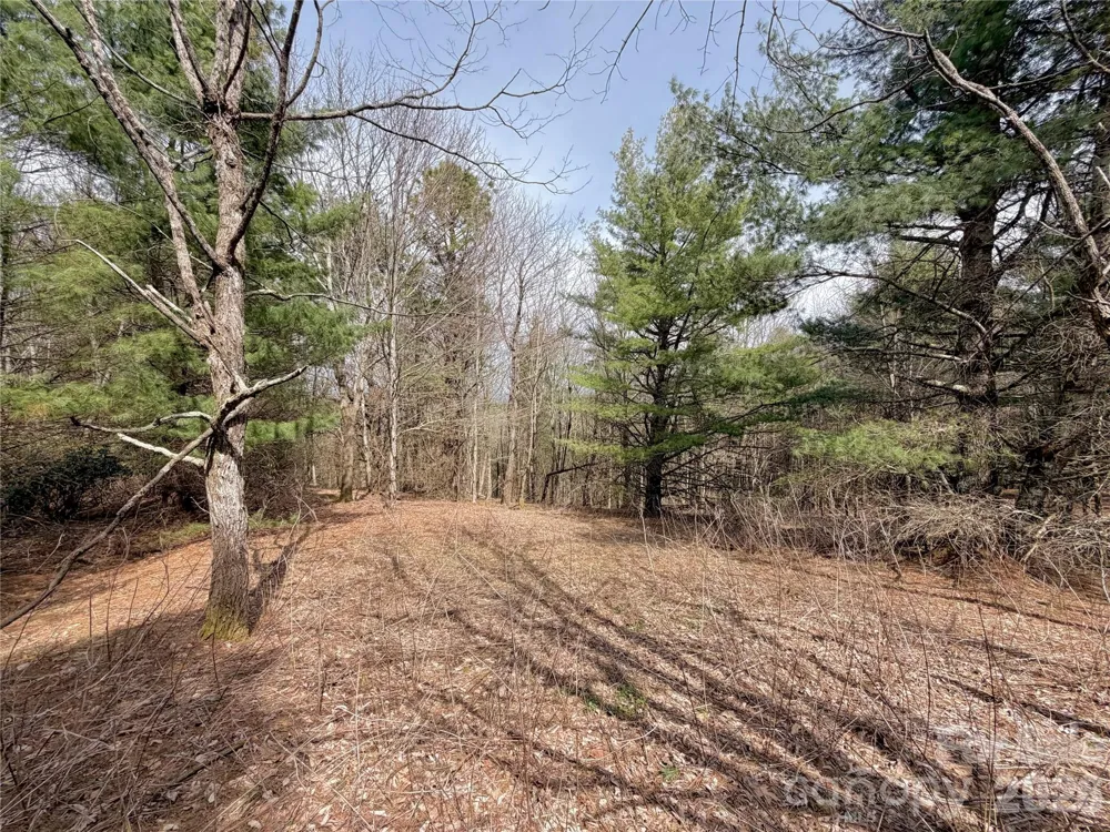 TBD Grandview Drive #Tract A Boone, NC 28607