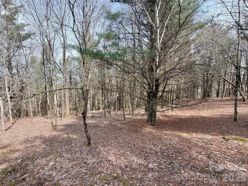 TBD Grandview Drive #Tract A Boone, NC 28607