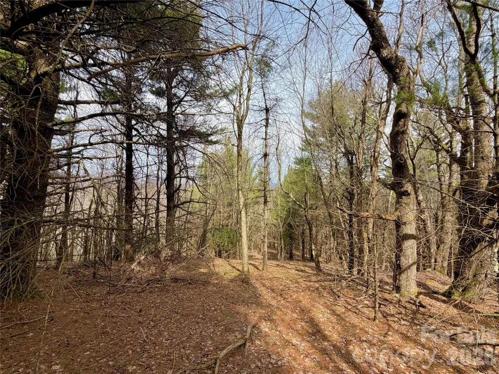 TBD Grandview Drive #Tract A Boone, NC 28607