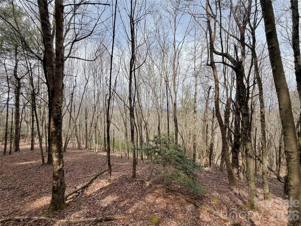 TBD Grandview Drive #Tract A Boone, NC 28607