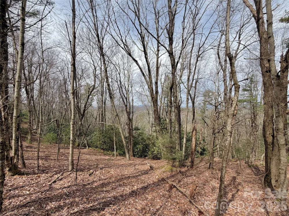 TBD Grandview Drive #Tract A Boone, NC 28607