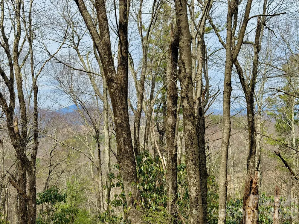 TBD Grandview Drive #Tract A Boone, NC 28607
