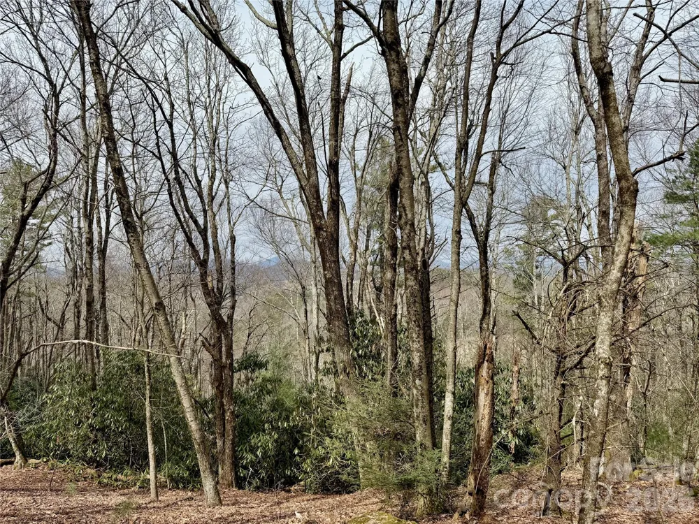 TBD Grandview Drive #Tract A Boone, NC 28607