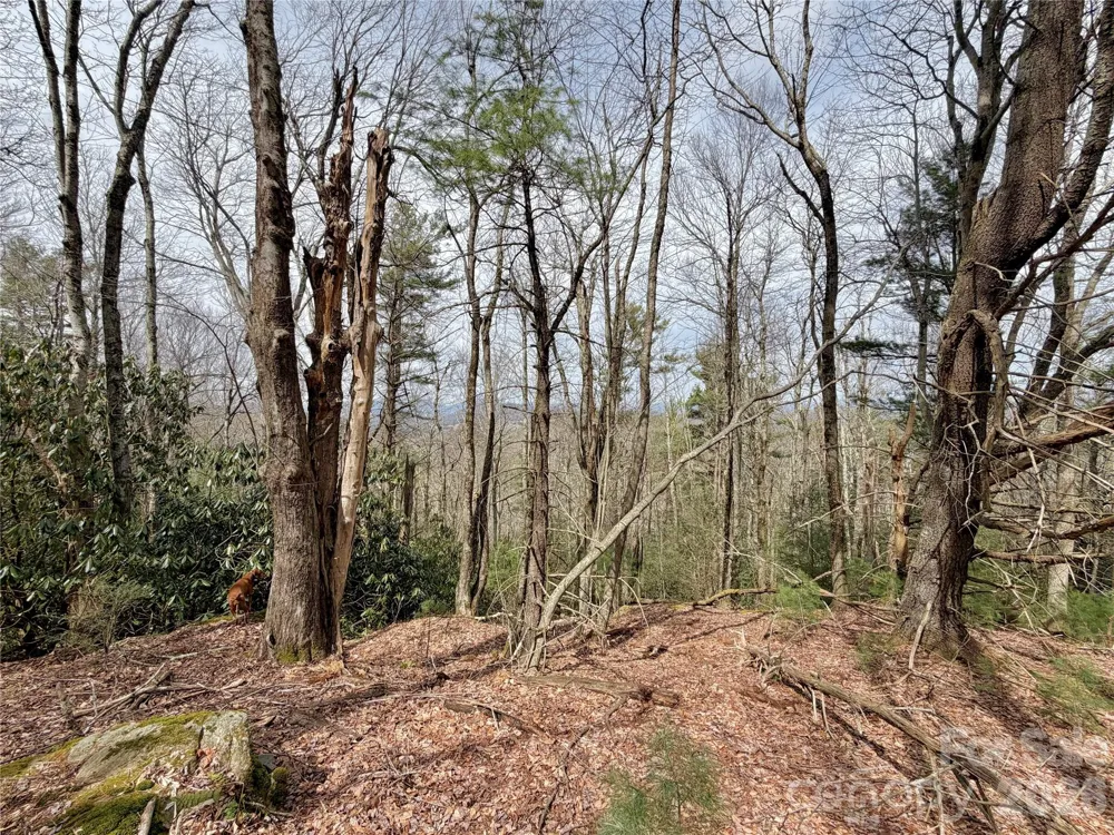 TBD Grandview Drive #Tract A Boone, NC 28607