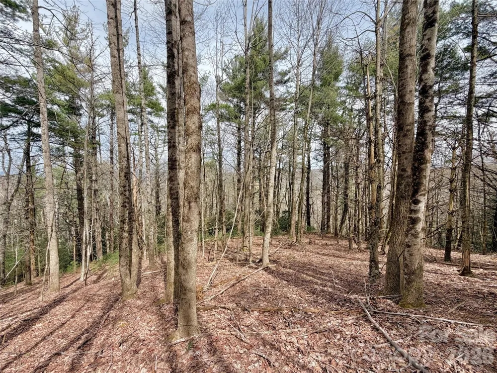 TBD Grandview Drive #Tract A Boone, NC 28607