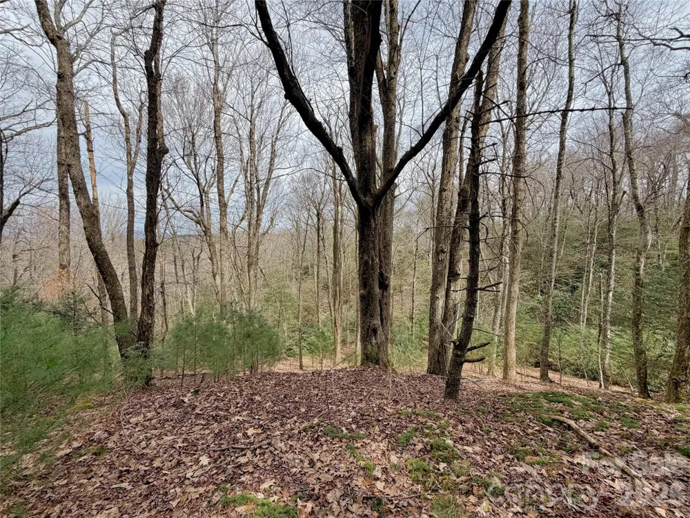 TBD Grandview Drive #Tract A Boone, NC 28607