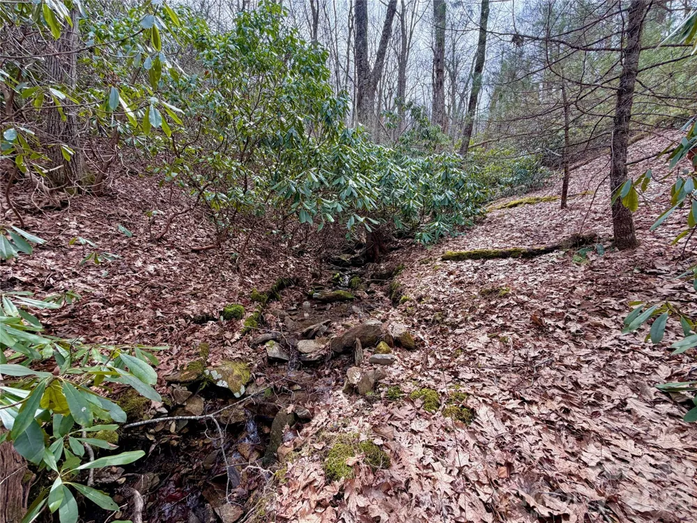 TBD Grandview Drive #Tract A Boone, NC 28607
