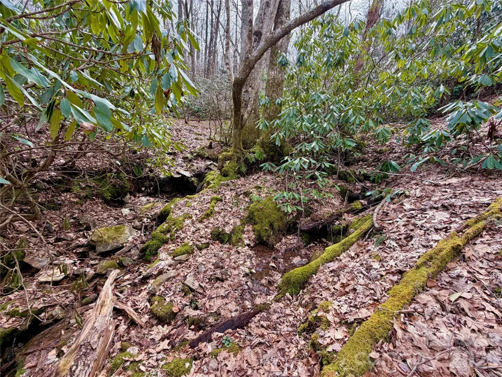 TBD Grandview Drive #Tract A Boone, NC 28607