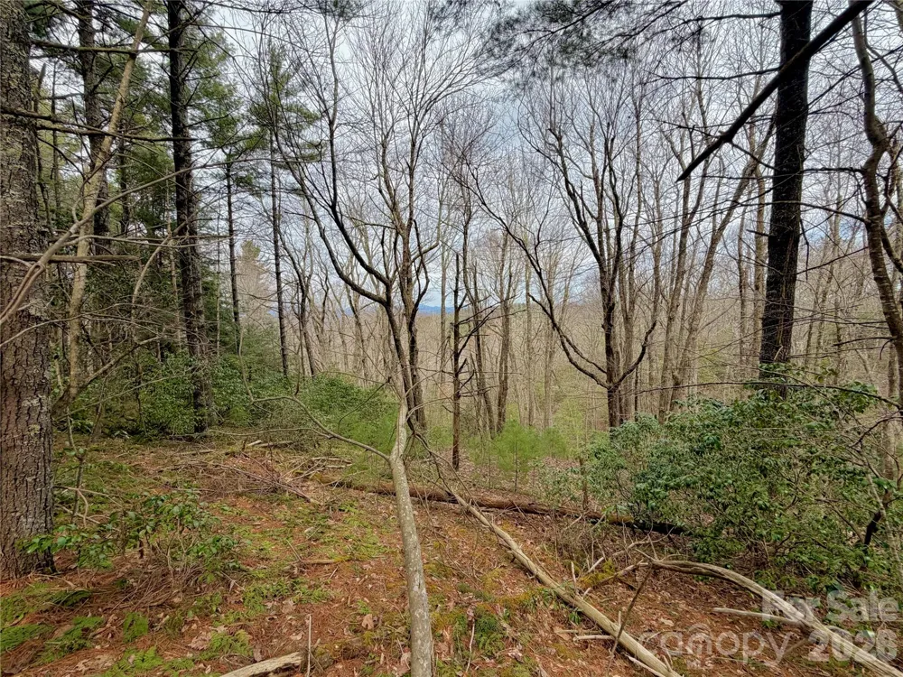 TBD Grandview Drive #Tract A Boone, NC 28607