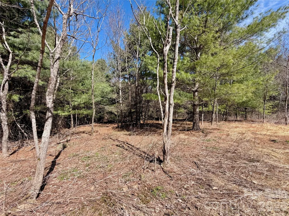 TBD Grandview Drive #Tract A Boone, NC 28607